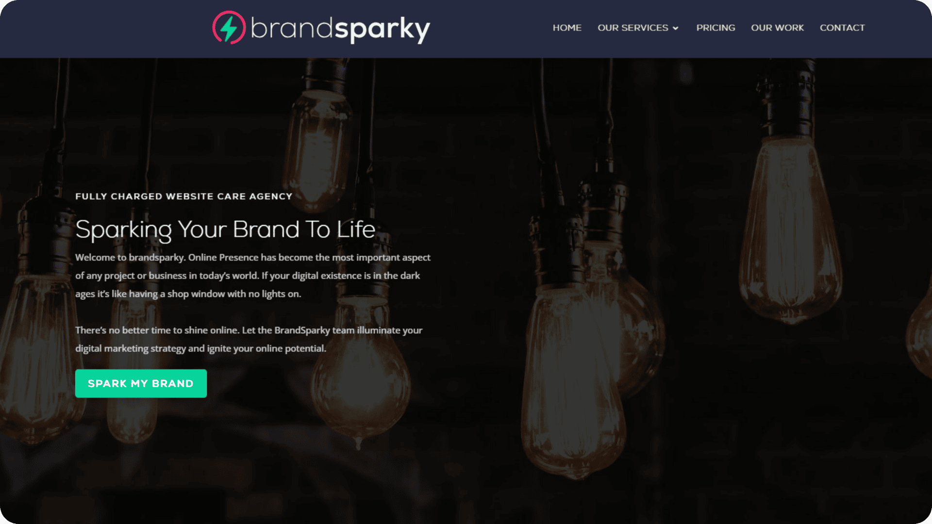 BrandSparky WordPress Services